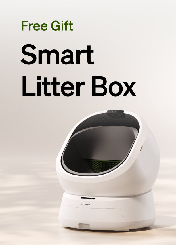 Savings offer on litter box