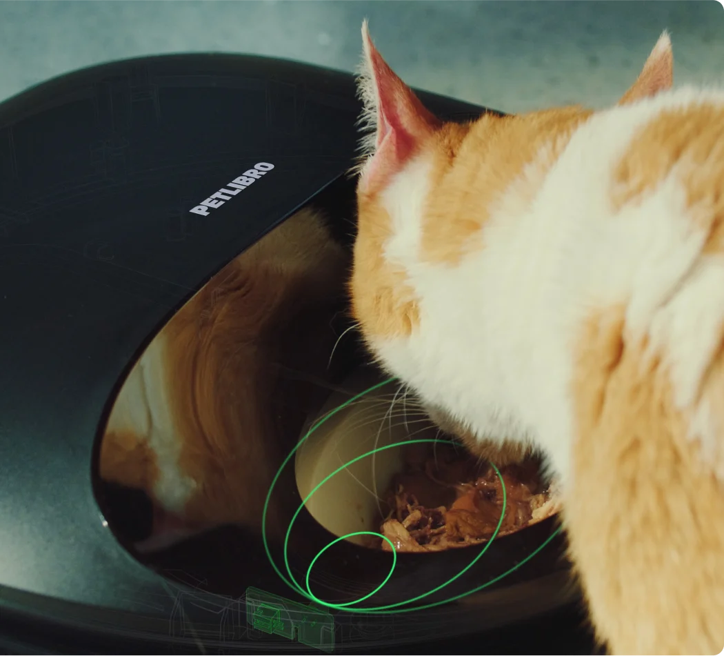 Polar Smart Wet Food Feeder and Dockstream 2 Fountain Bundle