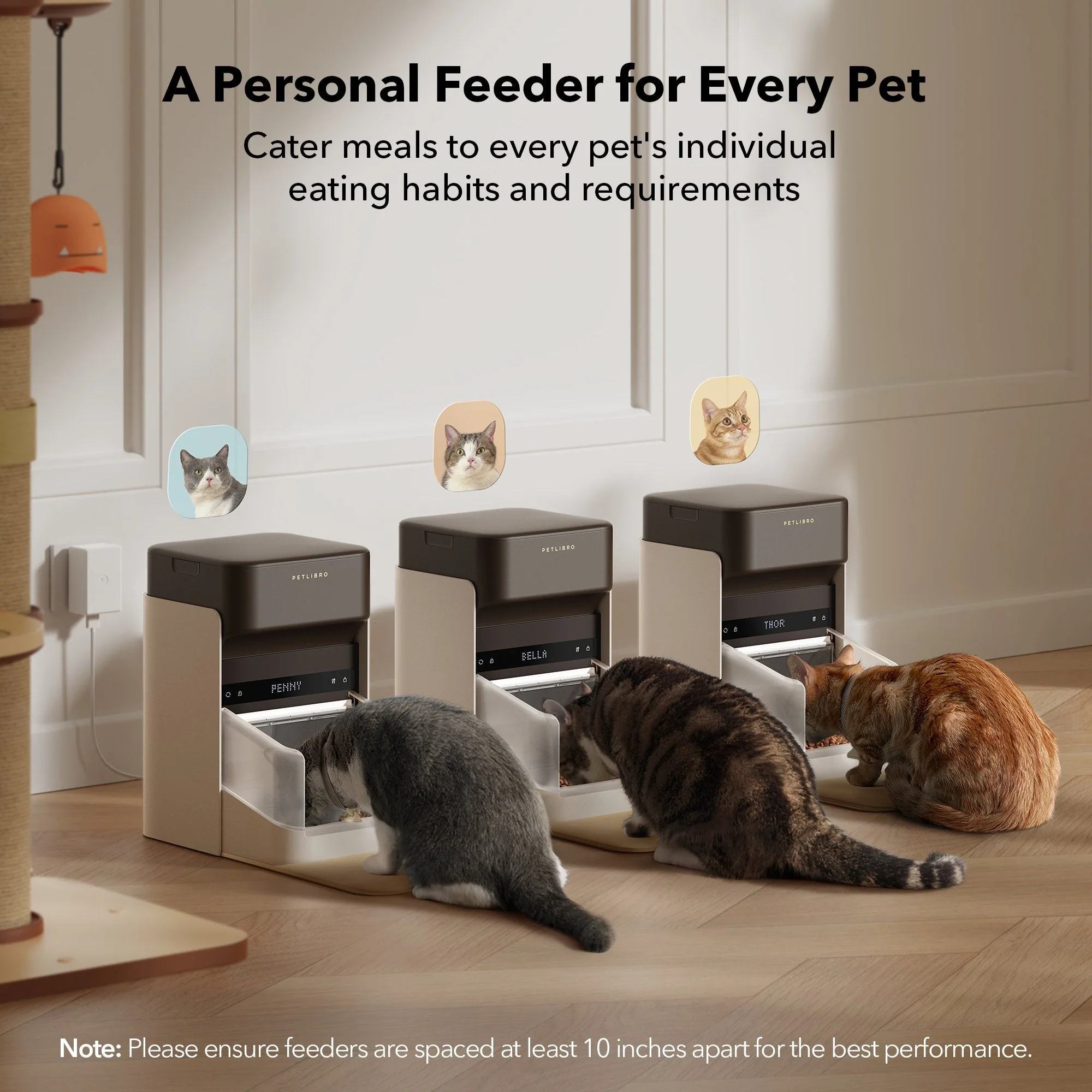 RFID Smart Feeder & Dockstream 2 Cordless Fountain Bundle