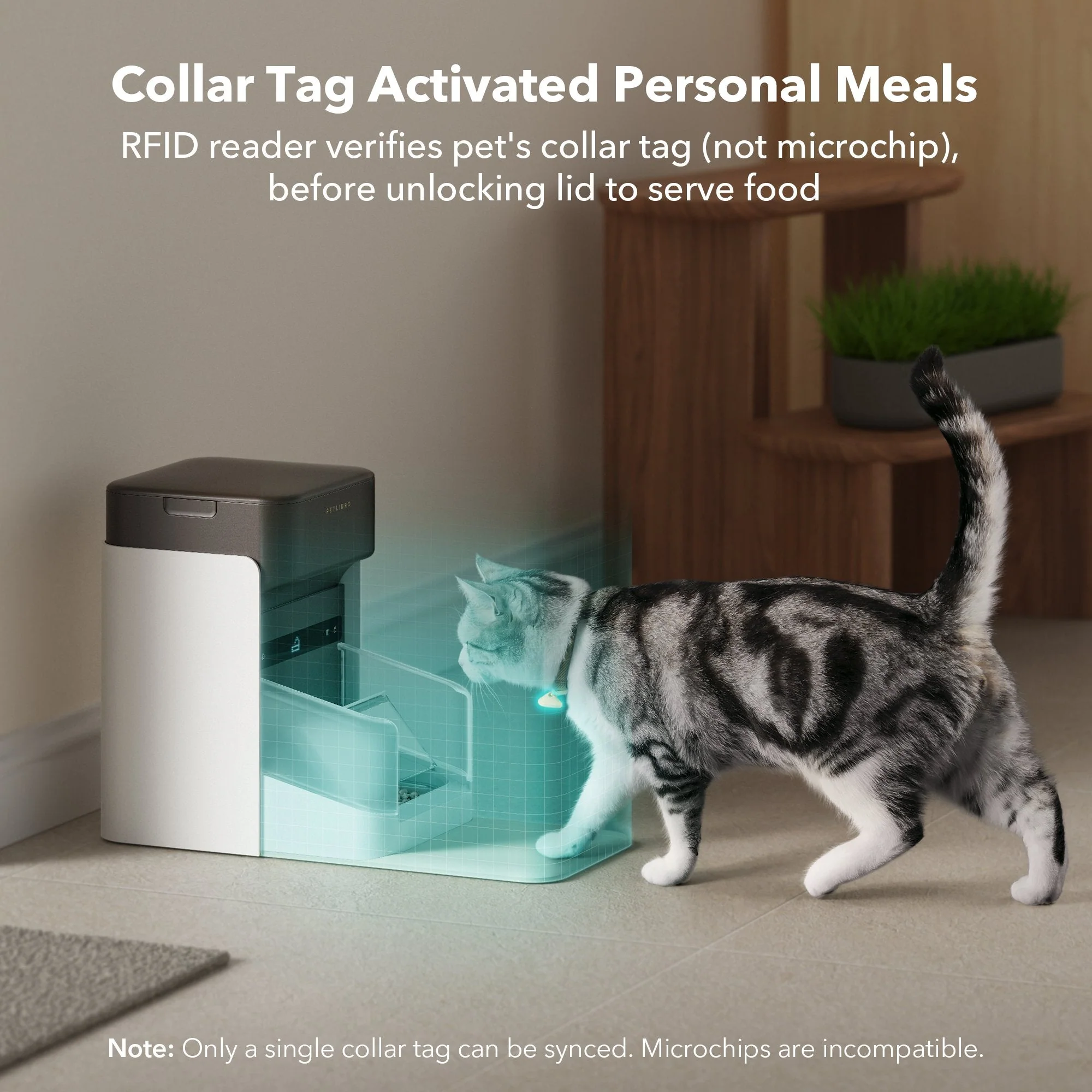 RFID Smart Feeder & Dockstream 2 Cordless Fountain Bundle