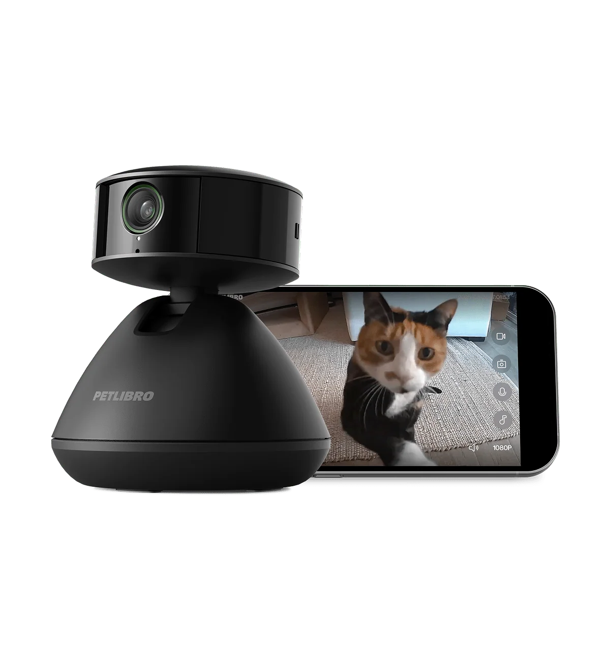 Scout Smart Camera for Cats and Dogs with AI That Learns Your Pet