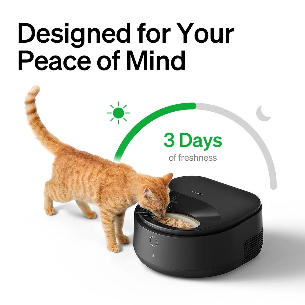 Petlibro Vision Bundle: Wet Food Feeder and Camera Dry Food Feeder
