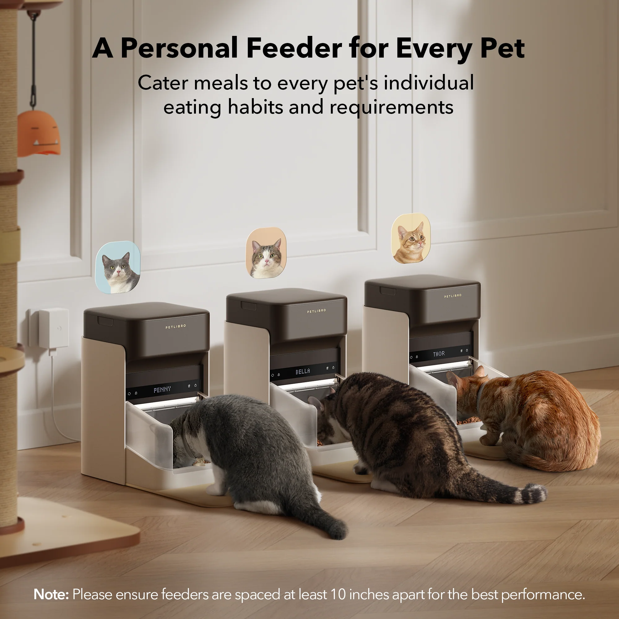 One RFID Smart Feeder with Collar Tag Access and App Scheduling