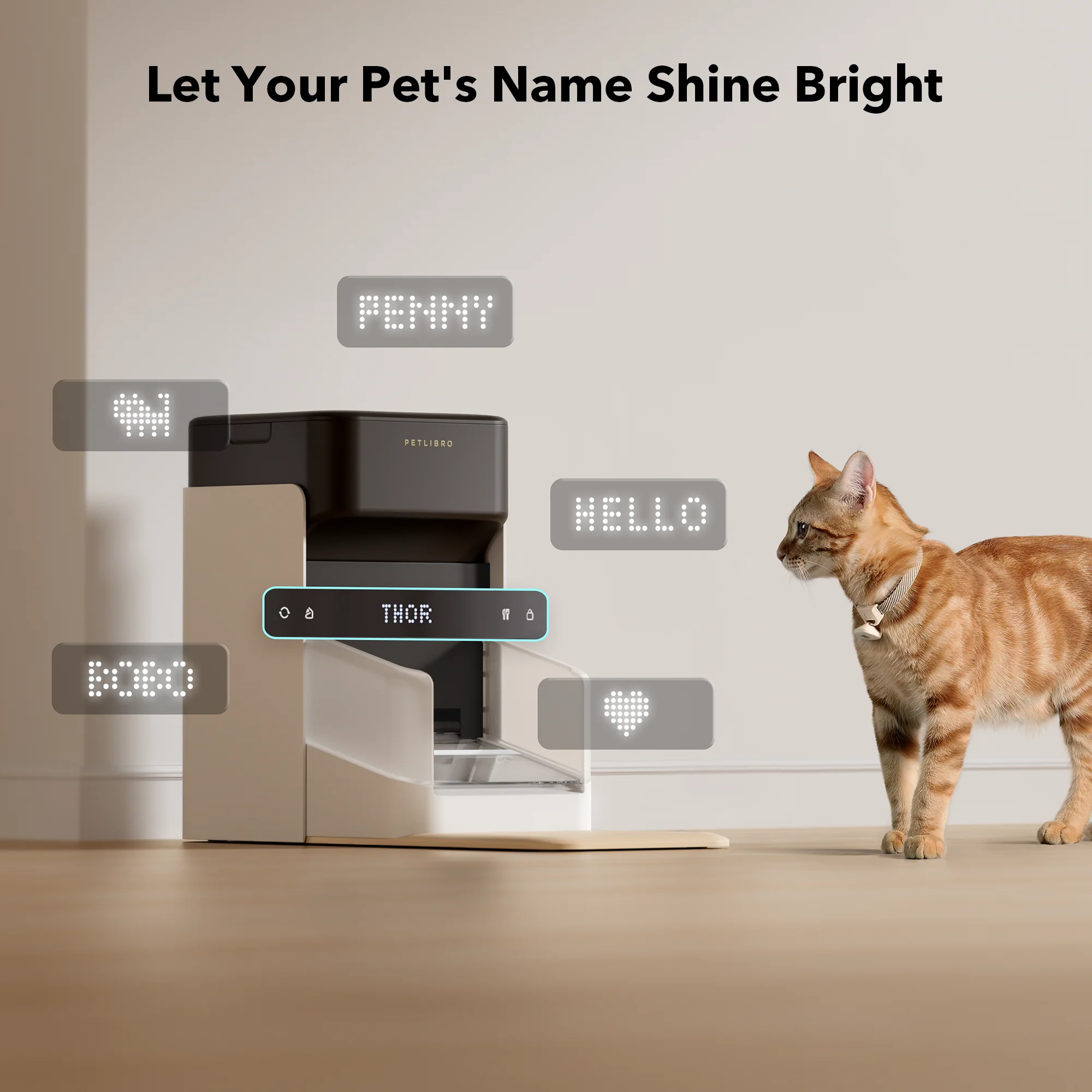 One RFID Smart Feeder with Collar Tag Access and App Scheduling