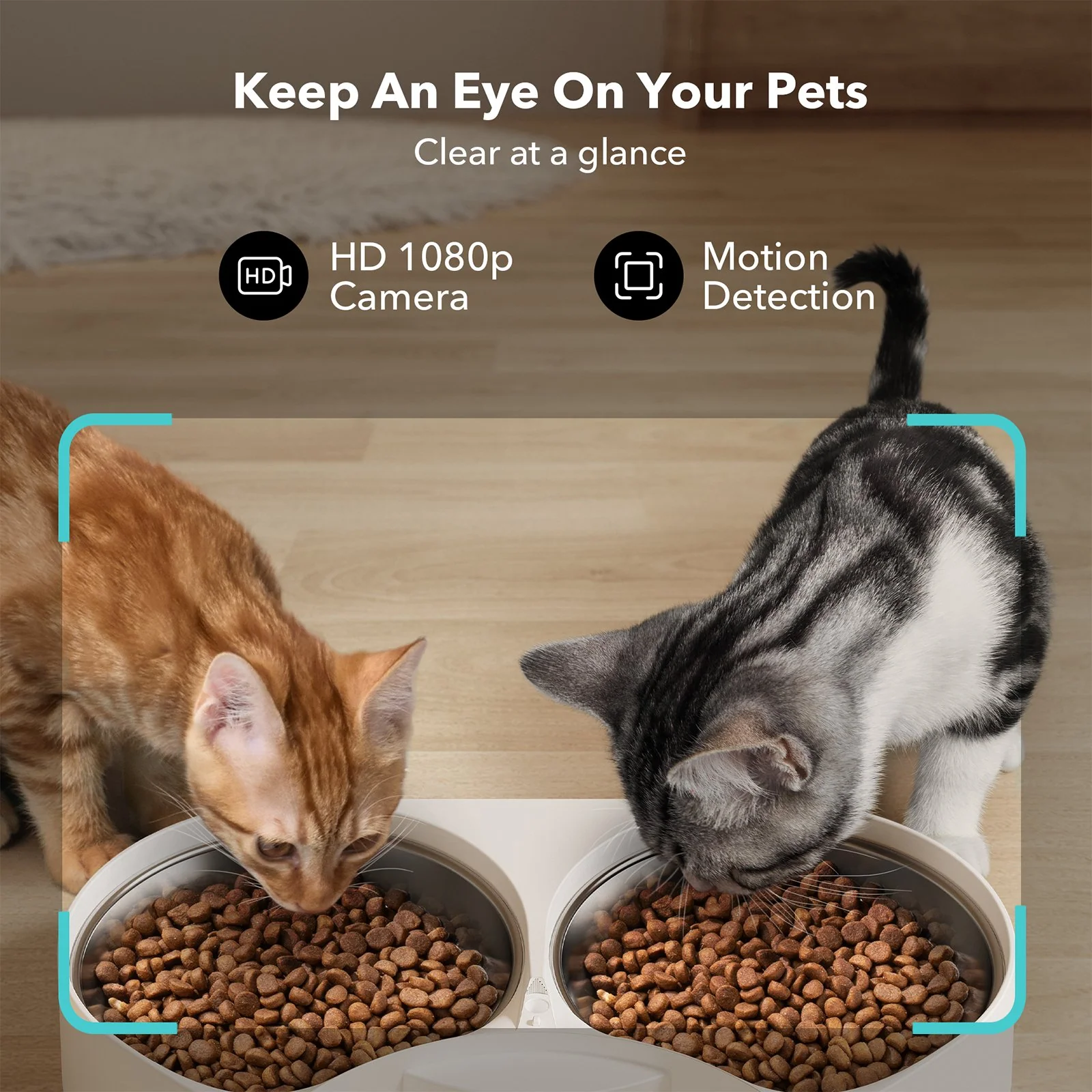 Granary Smart Camera Feeder Dual Bowl with App Scheduling