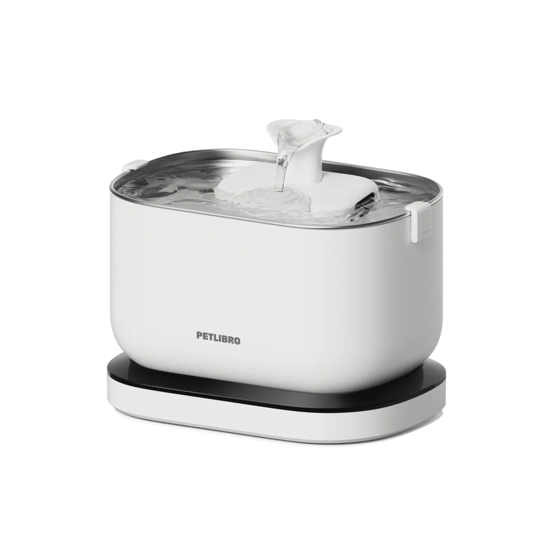Pet Water Fountain