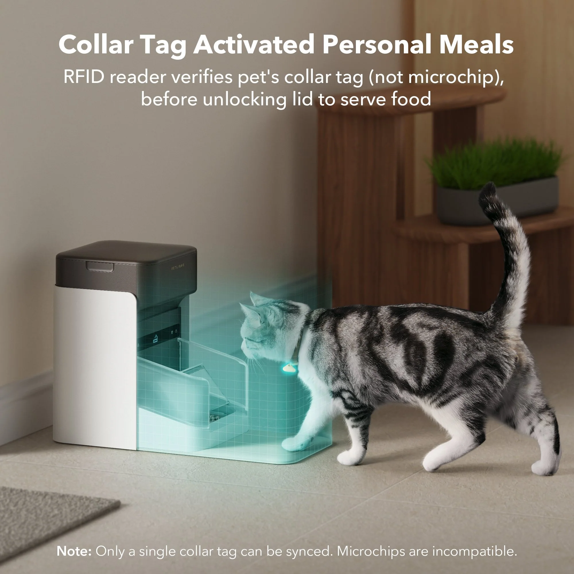 One RFID Smart Feeder with Collar Tag Access and App Scheduling