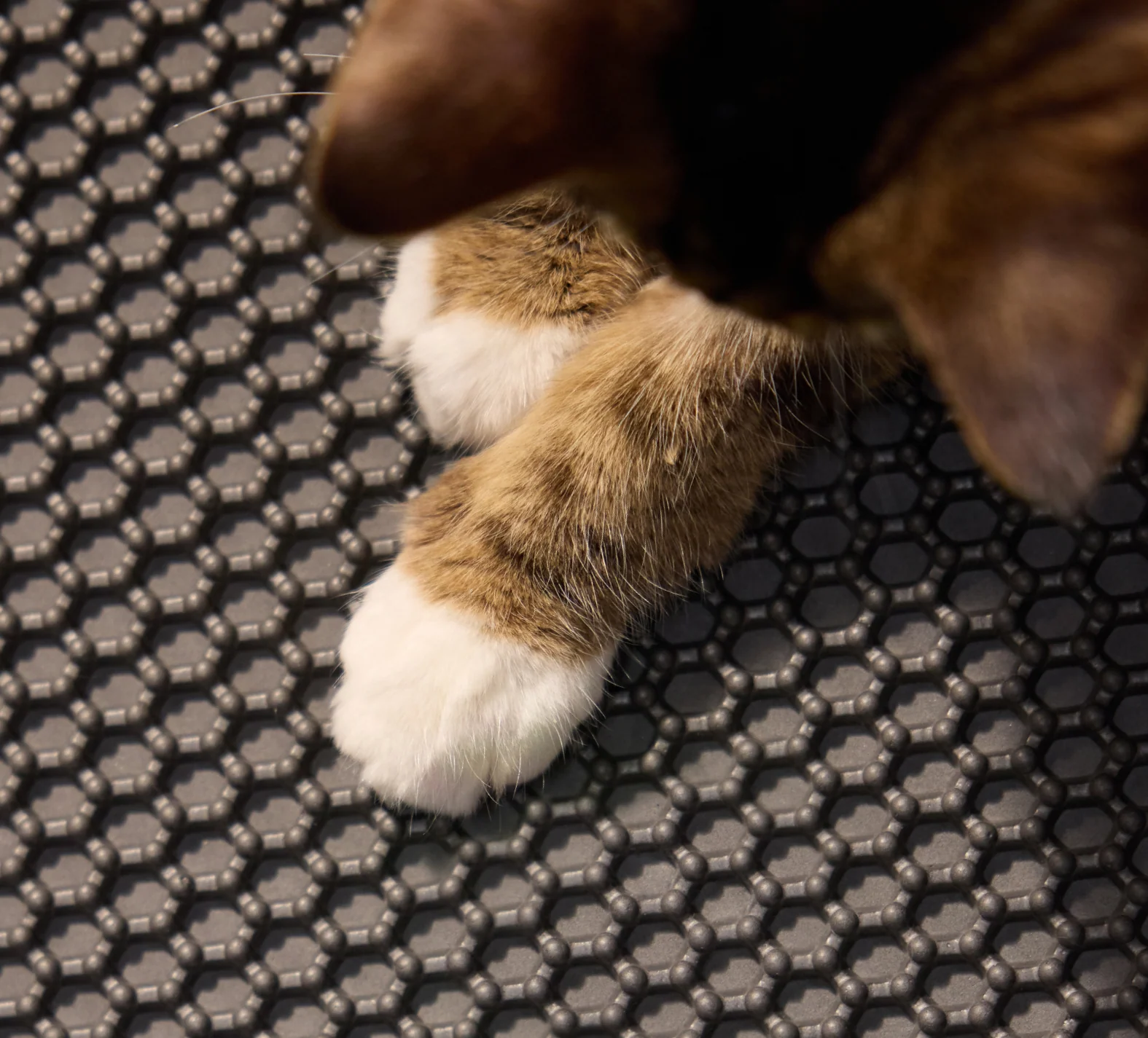 Luma Smart Litter Box Starter Bundle with Mats, Deodorizer and Liners