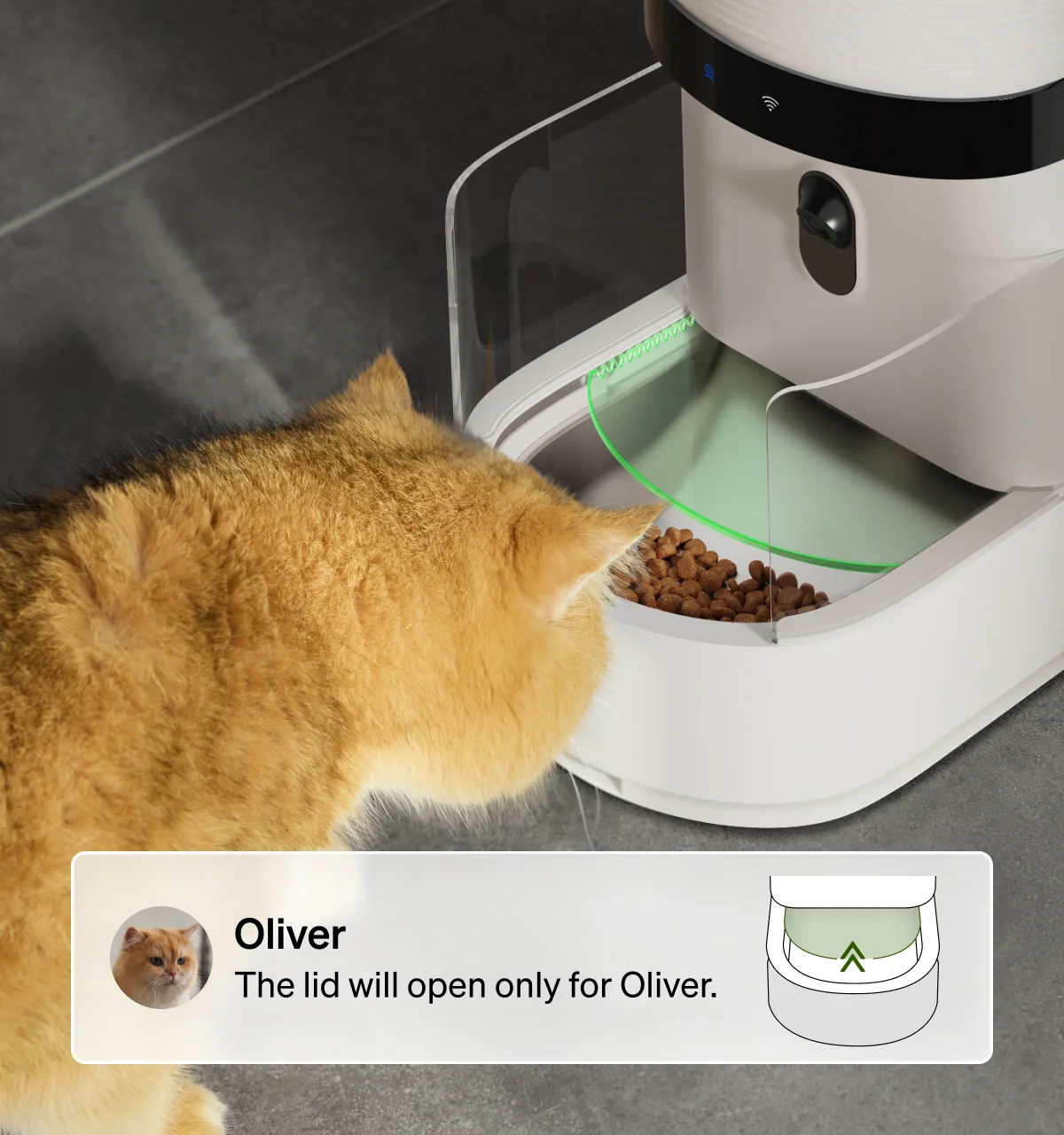 Granary 2 X Smart Feeder With AI Camera and Bowl Scale