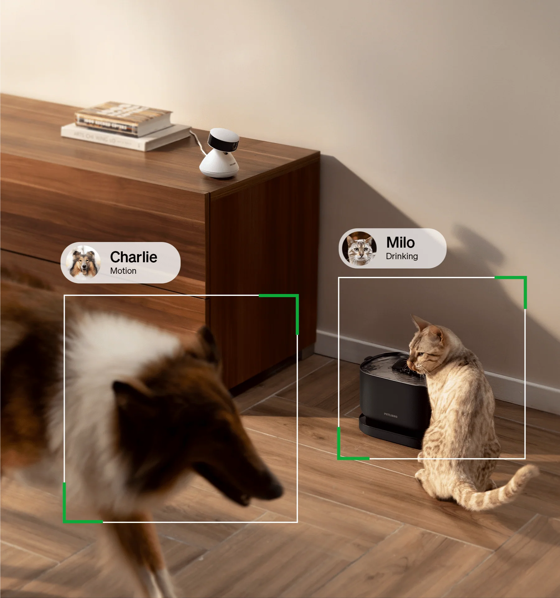 RFID Smart Feeder and Scout Smart Camera Bundle for Multi-Pet Homes
