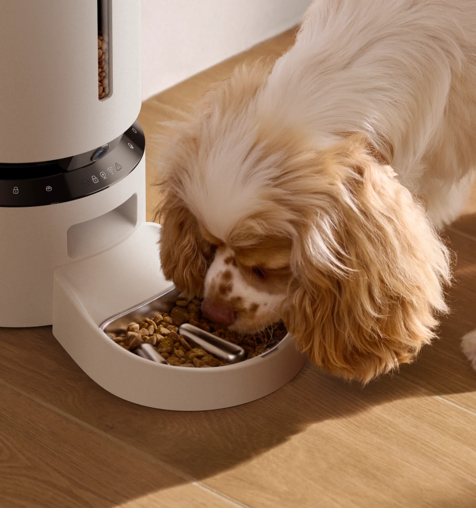 Granary Slow Feeder Bowl Stainless Steel Insert for Smart Camera Feeder