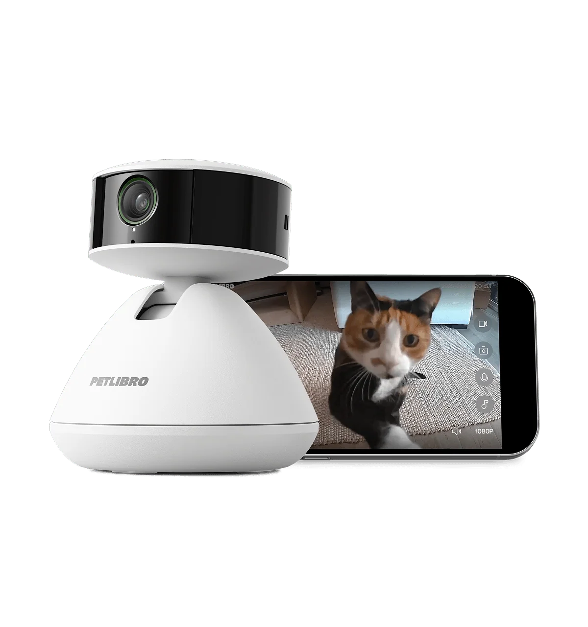Scout Smart Camera for Cats and Dogs with AI That Learns Your Pet