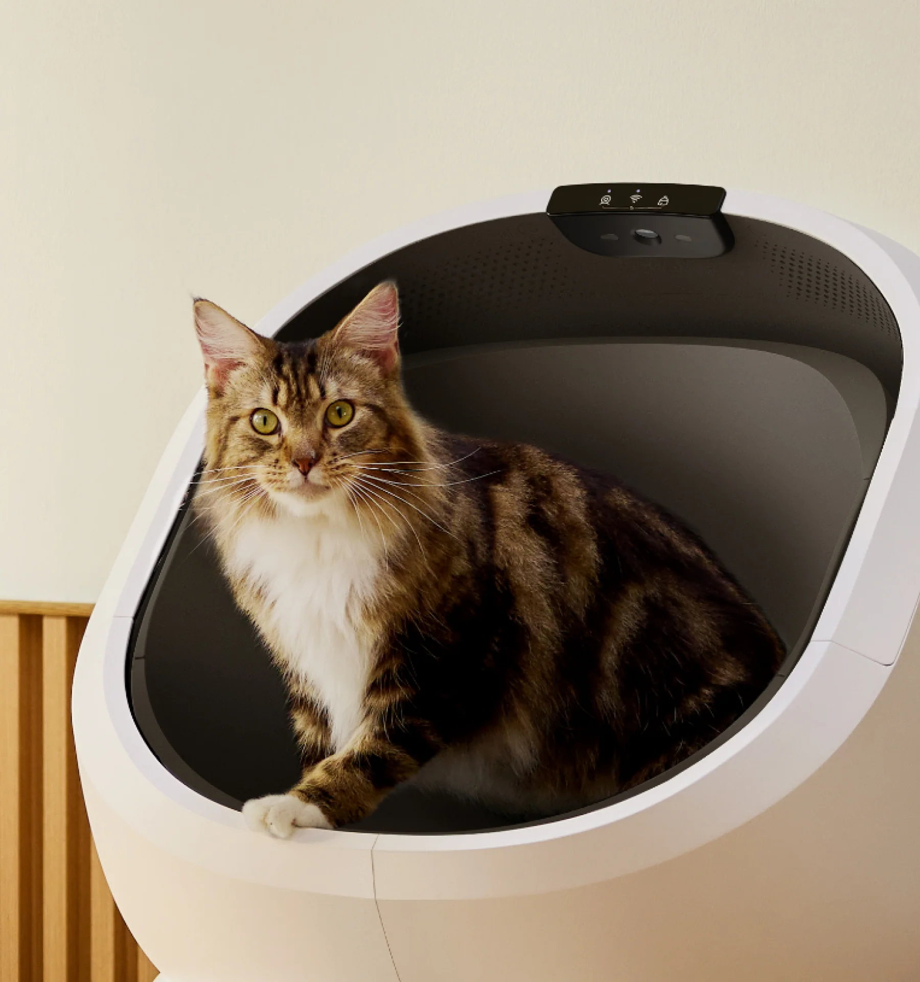 Luma Smart Litter Box with Auto Scooping, Odor Control and AI Waste Analysis