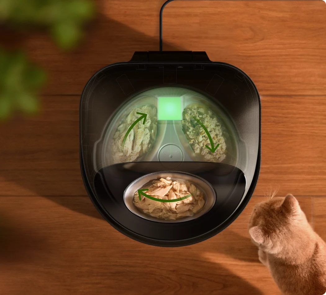 Polar Smart Wet Food Feeder and Dockstream 2 Fountain Bundle