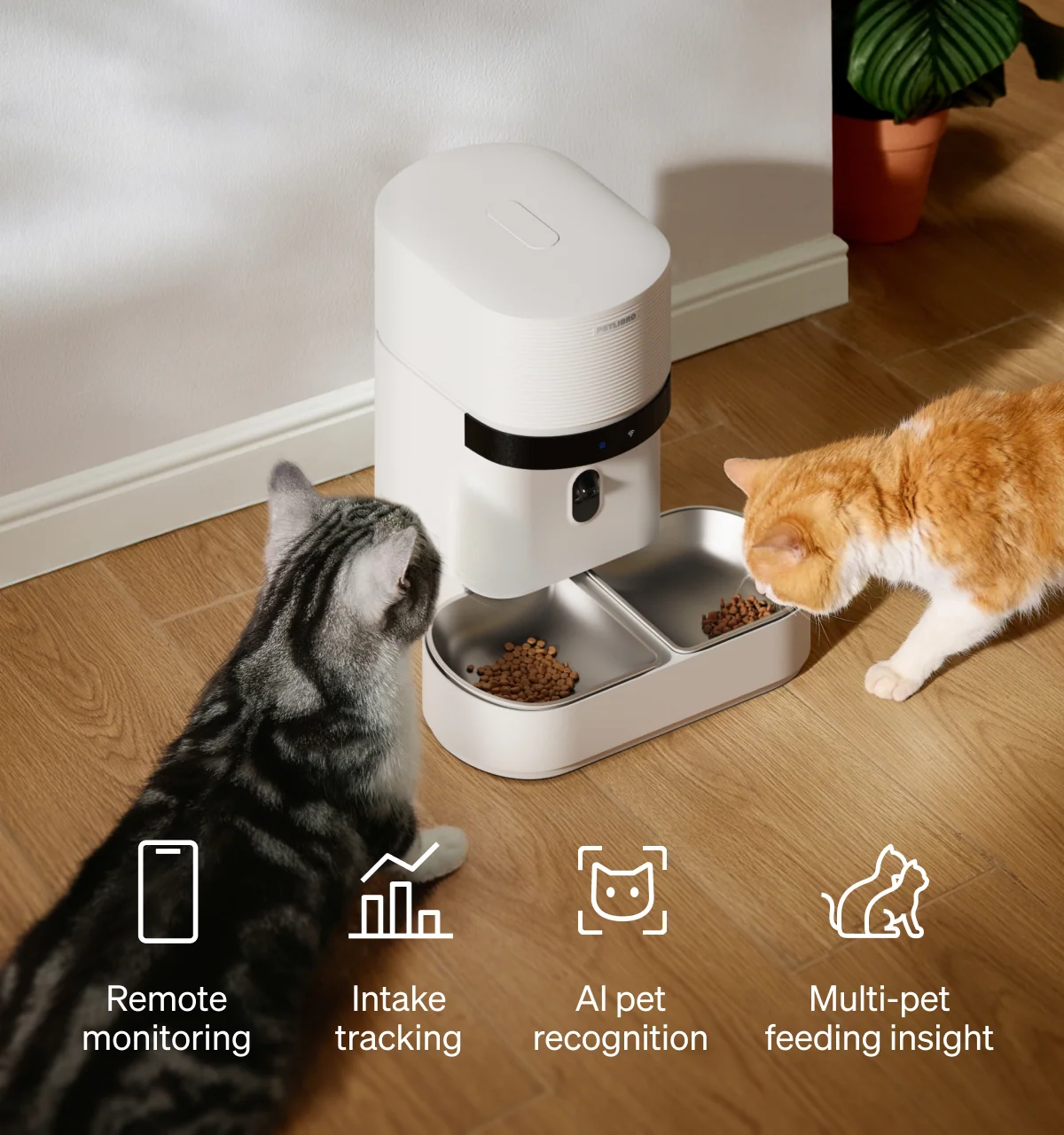 Granary 2 Vision Smart Feeder With Multi-Pet Recognition