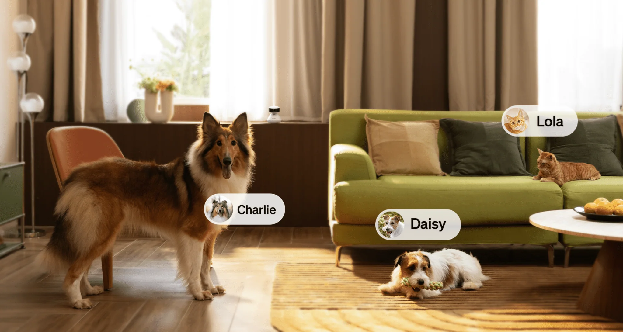 Scout Smart Camera for Cats and Dogs with AI That Learns Your Pet