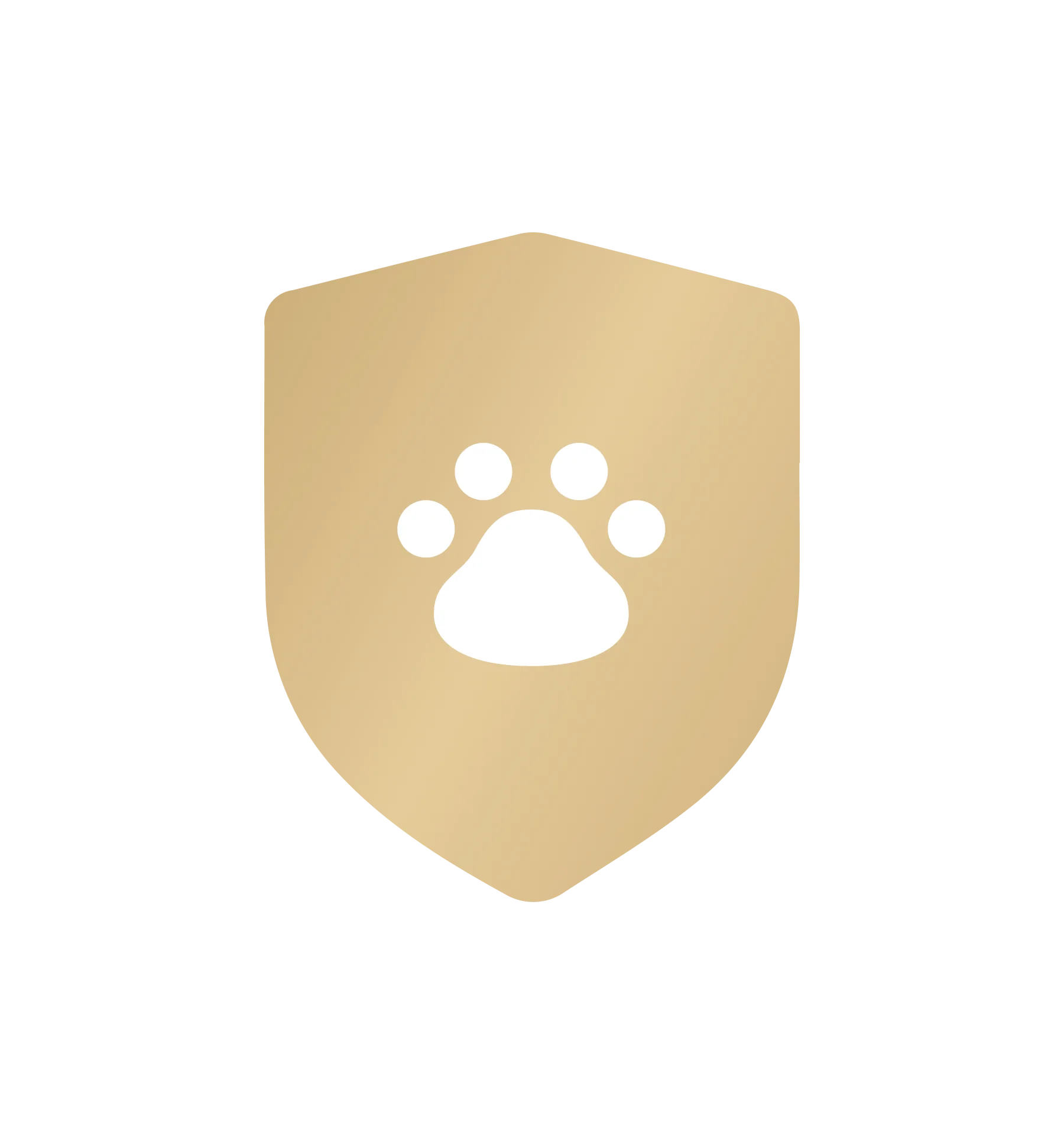Saas
