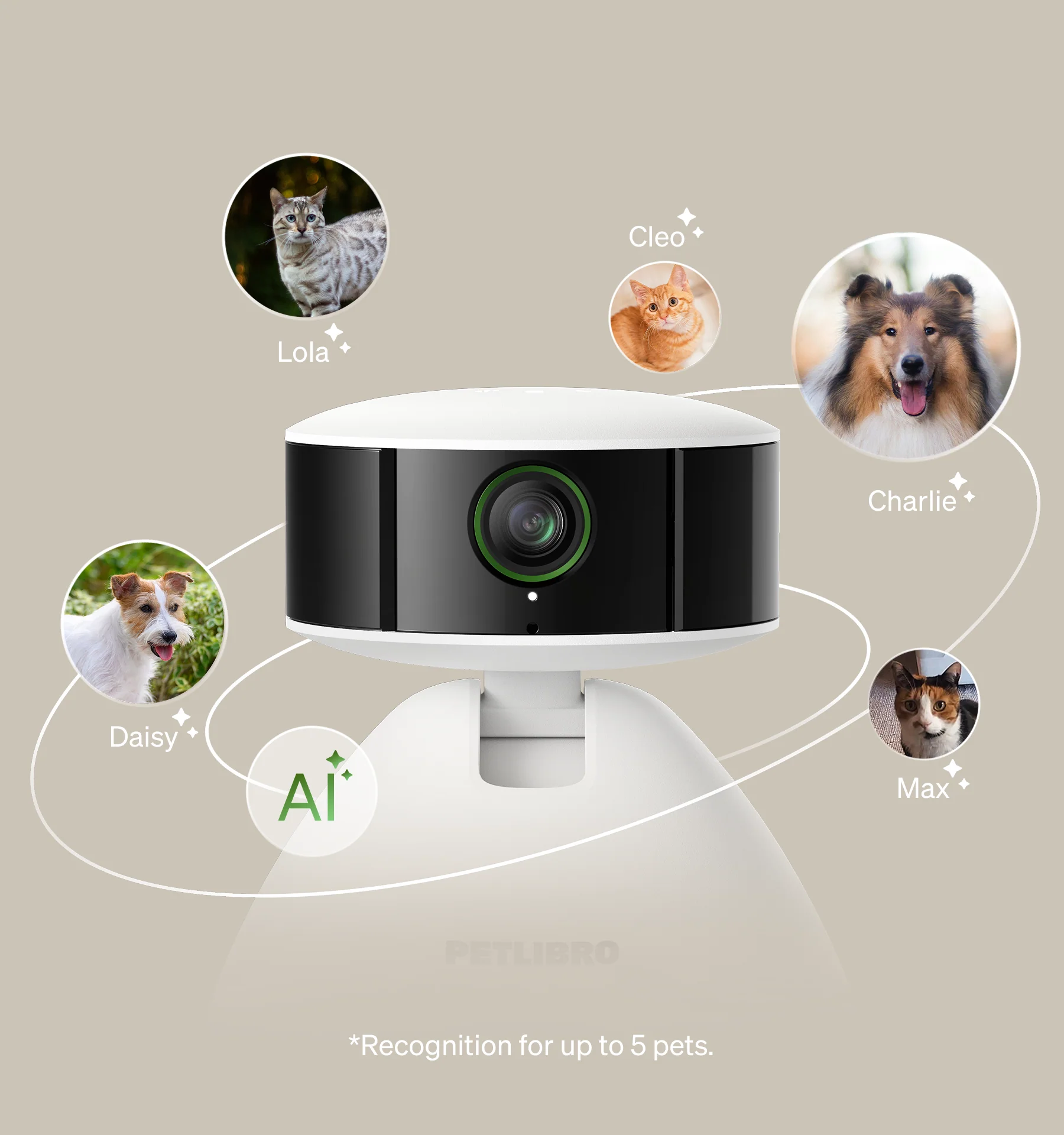 RFID Smart Feeder and Scout Smart Camera Bundle for Multi-Pet Homes