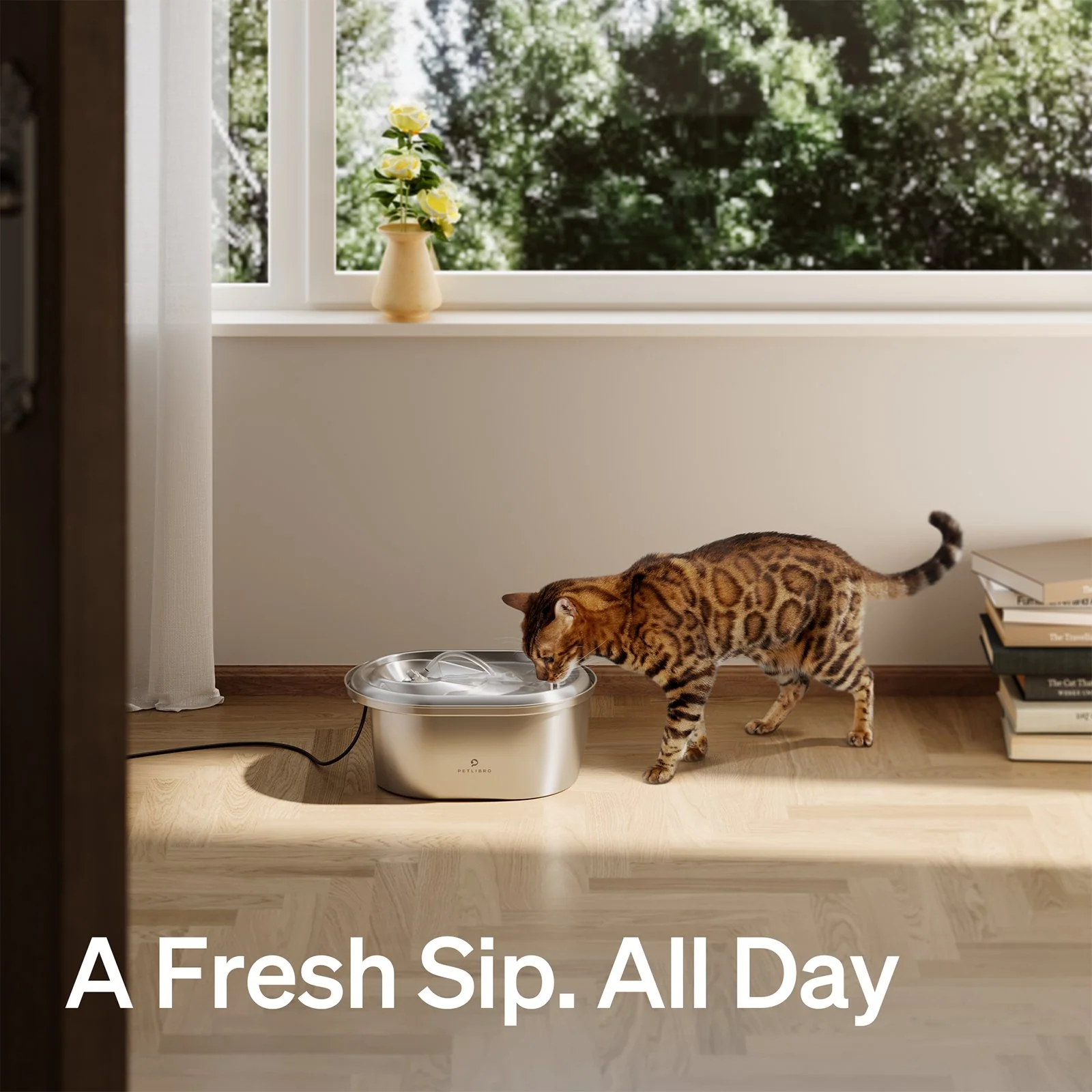 Stainless Steel Pet Water Fountain, 3L Quiet Automatic Dispenser